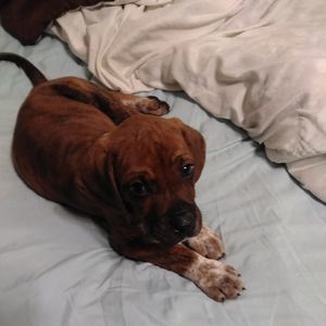 Meet your Posher, Sallie